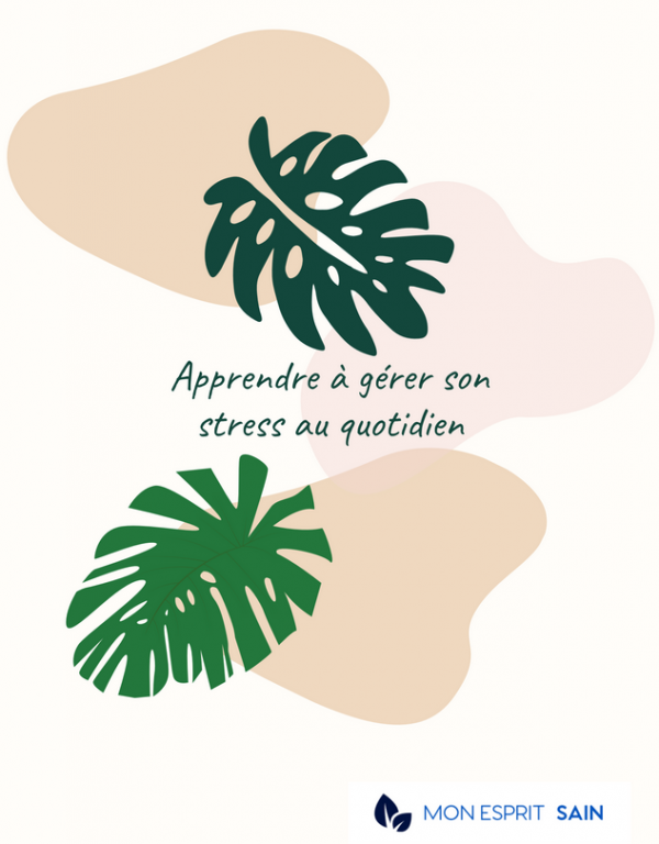 Page de garde du livre apprendre à gérer son stress au quotidien